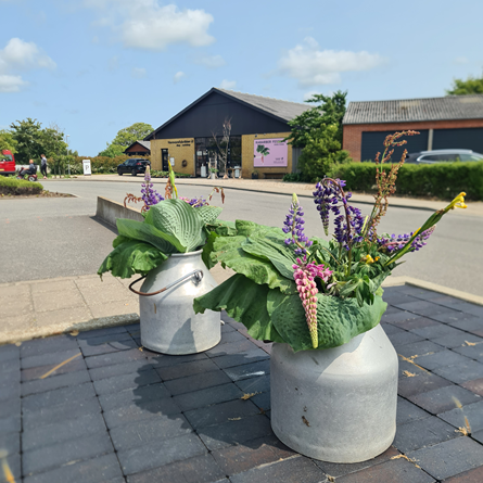 Rabarberfestival Torvet